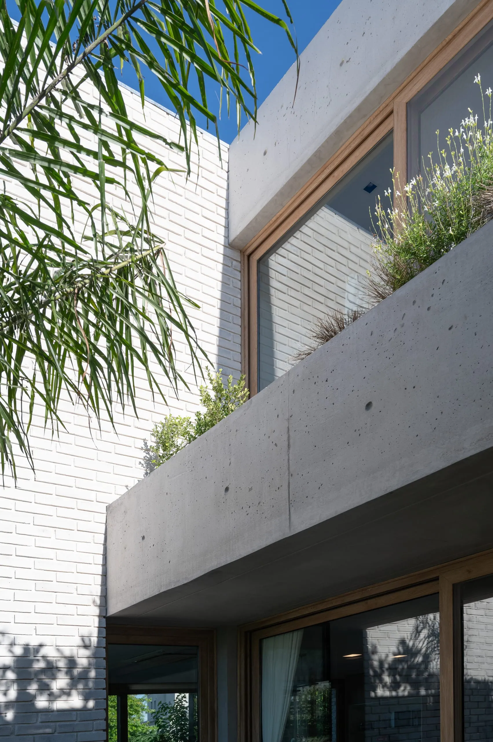 Detalle del volado de hormigón con plantas junto al muro de ladrillo claro