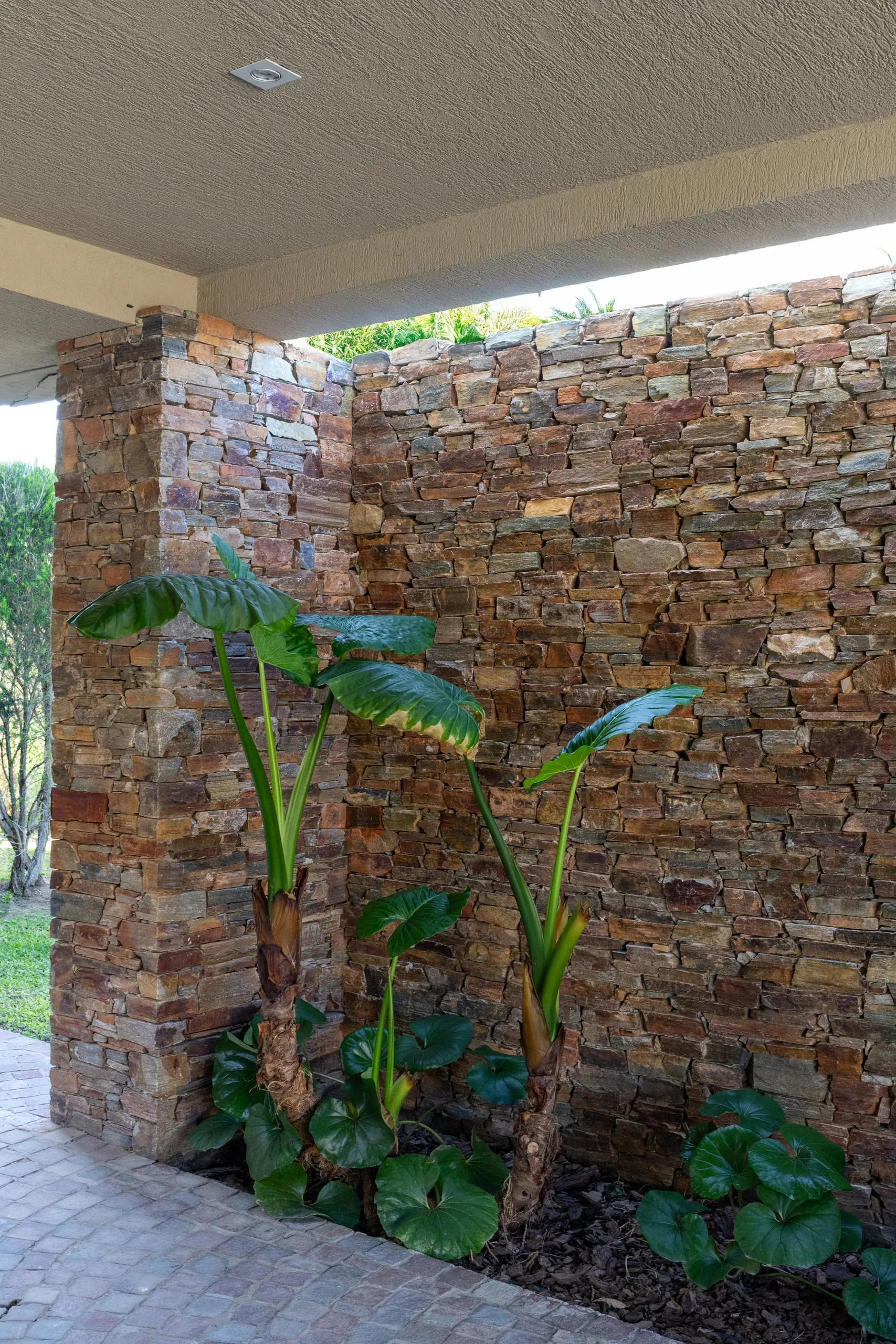 Muro de piedra con plantas en el acceso