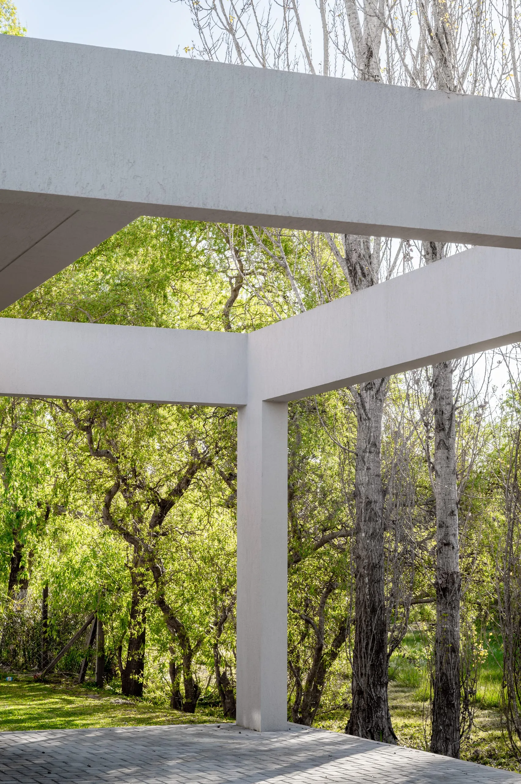 Pérgola blanca de la cochera enmarcando los árboles del lote