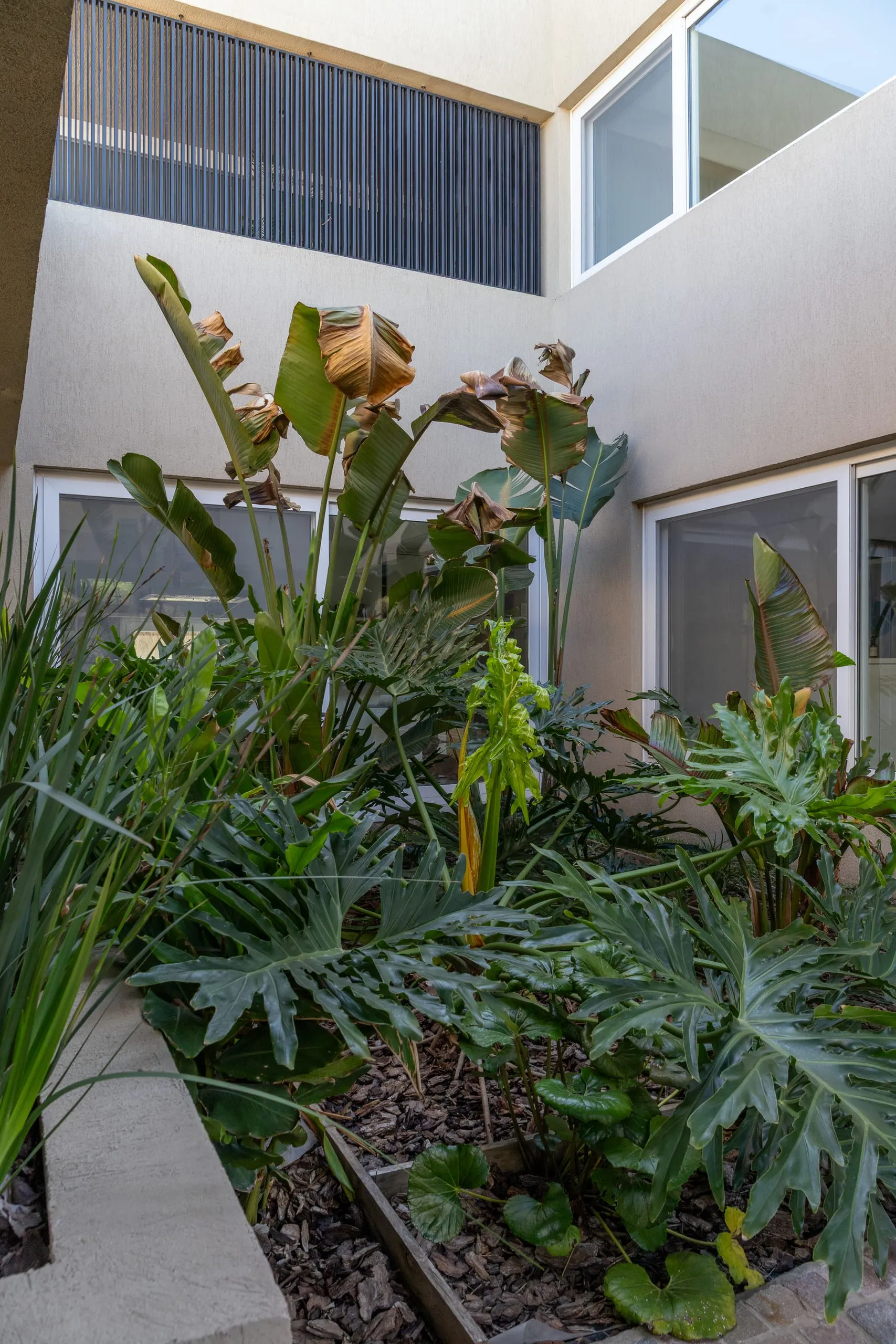 Patio interno con vegetación junto a los ventanales