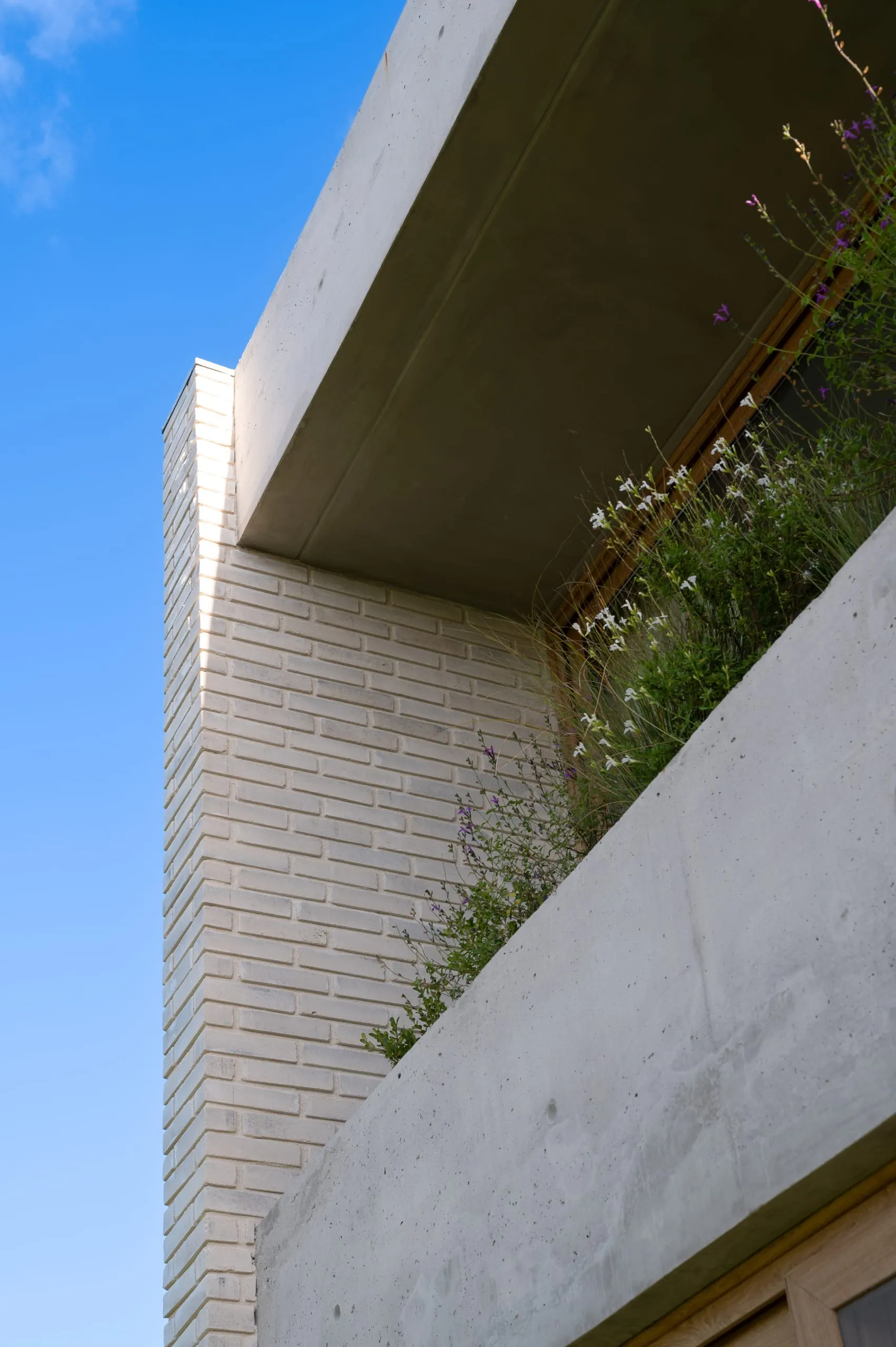 Detalle del volado de hormigón con vegetación contra el cielo