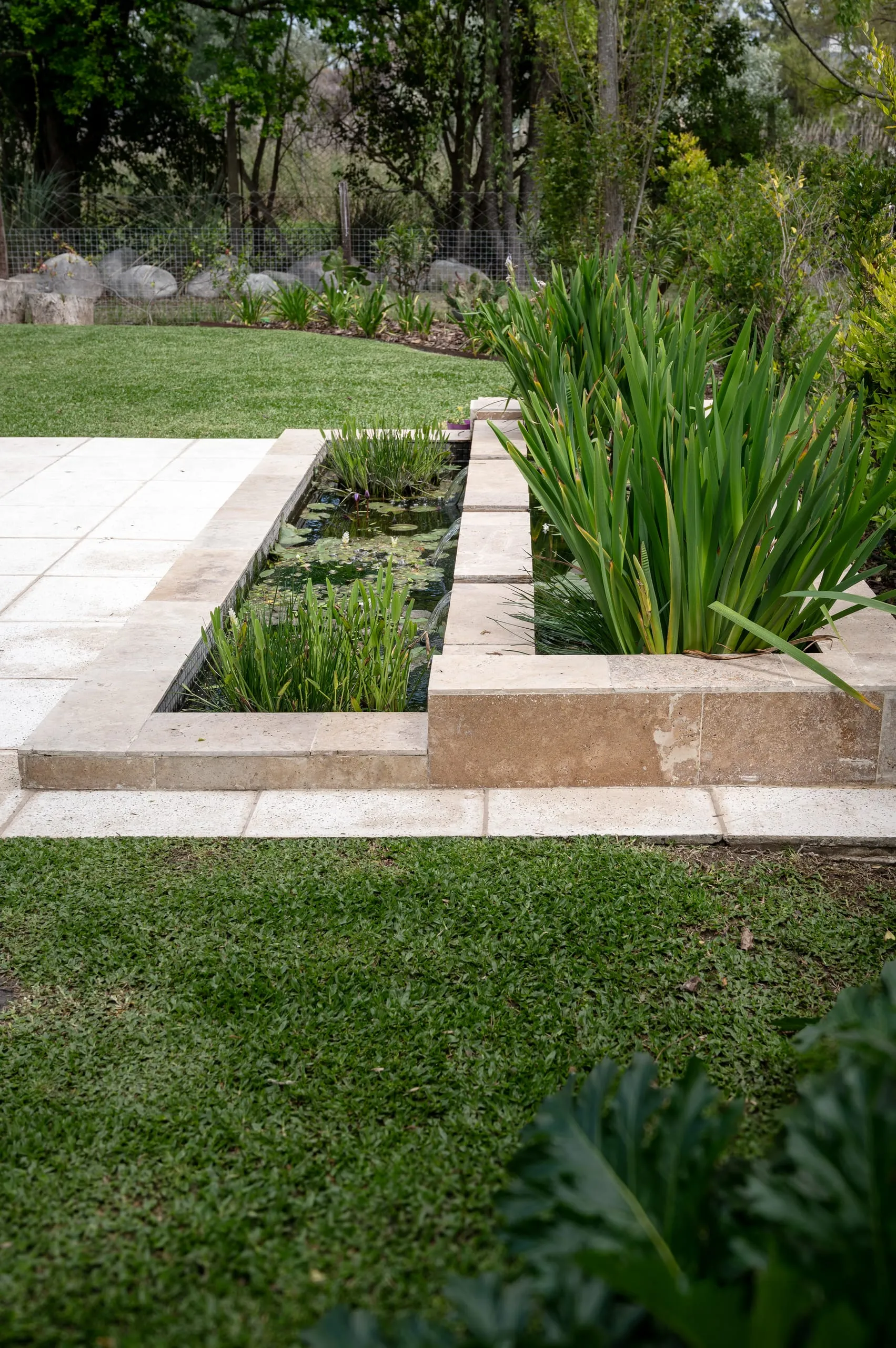 Espejo de agua con plantas acuáticas junto al césped
