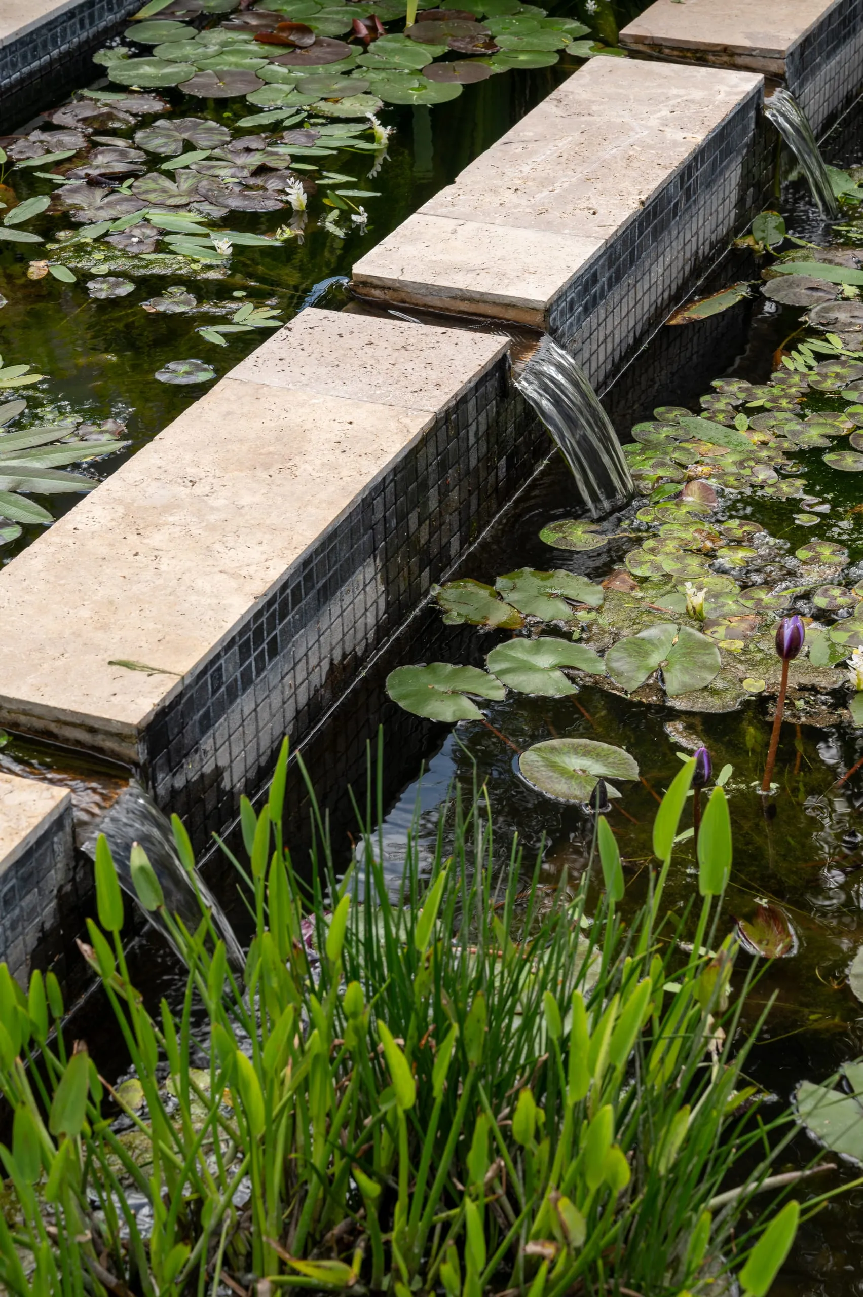 Detalle del espejo de agua con nenúfares