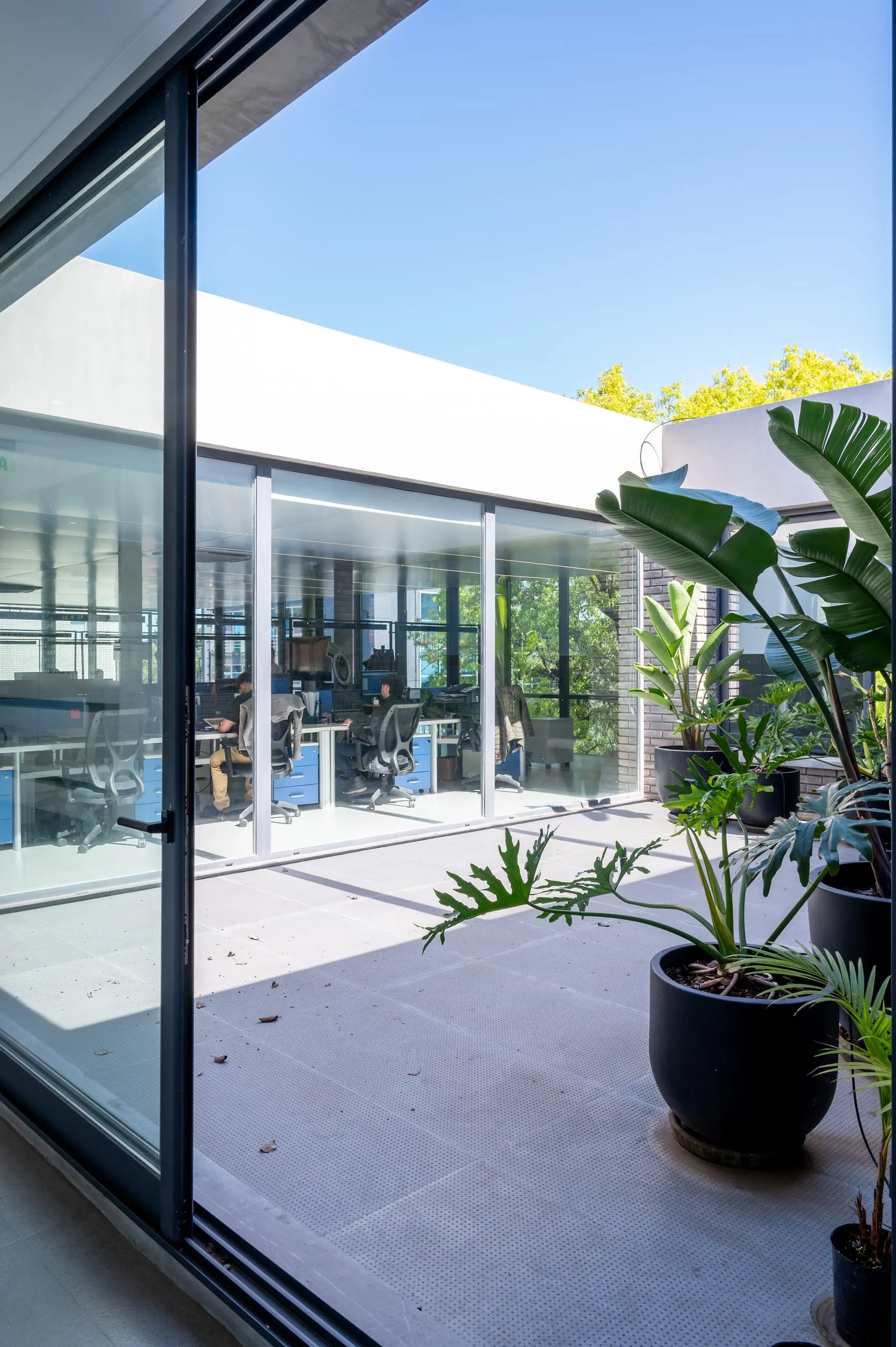 Terraza con plantas y cerramiento vidriado