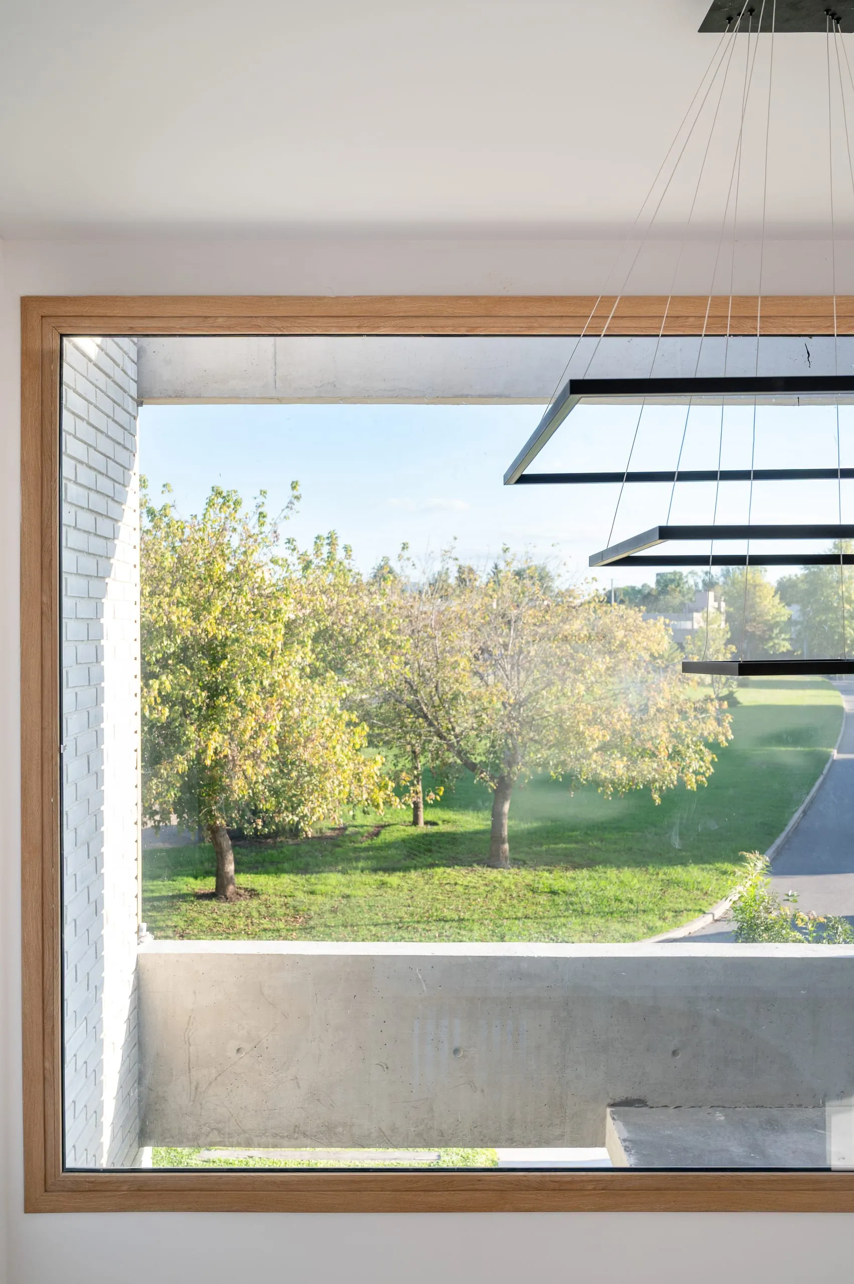 Ventana con marco de madera y vista a los árboles